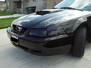 Mustang2 075.JPG